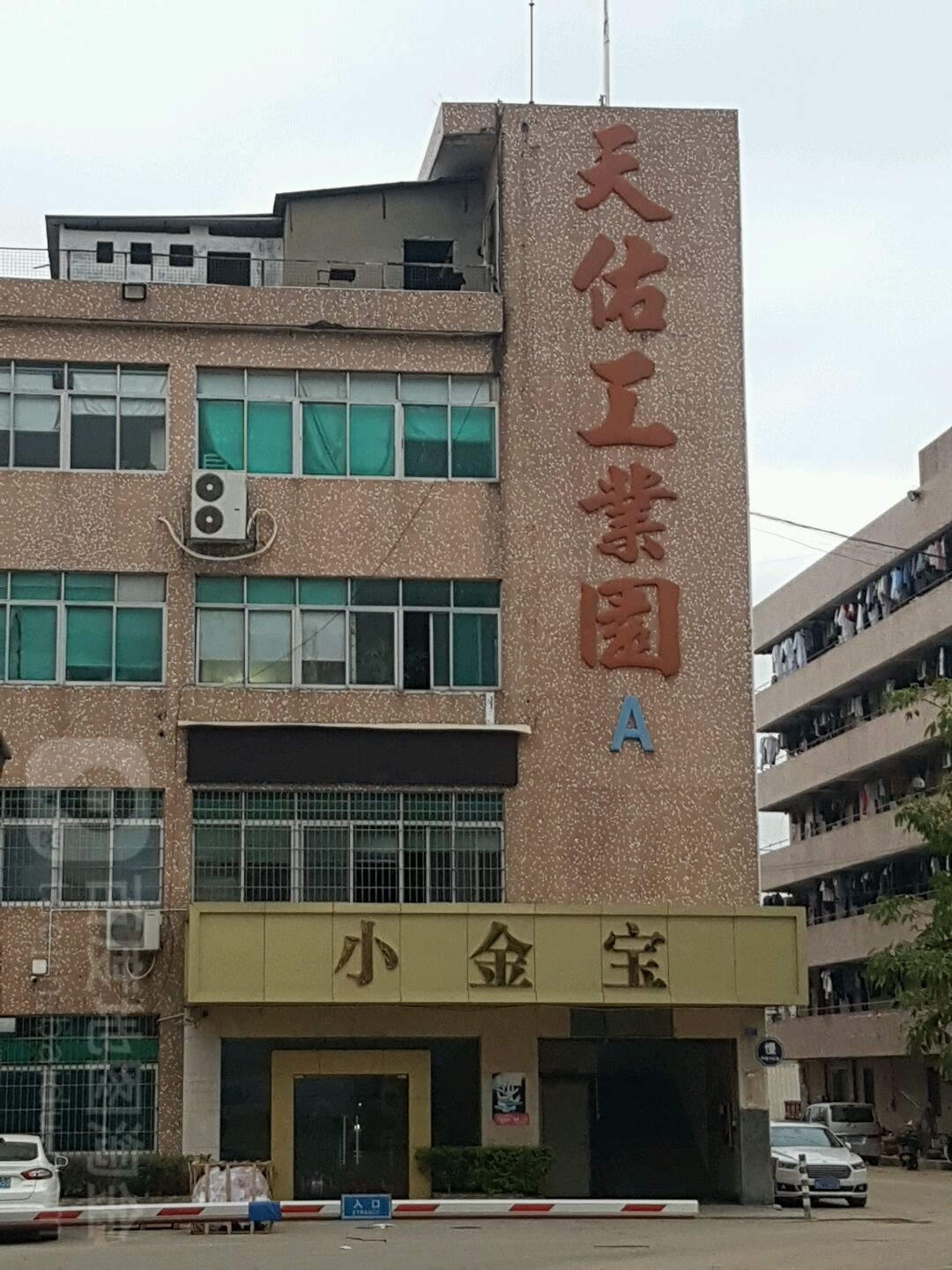 小金宝