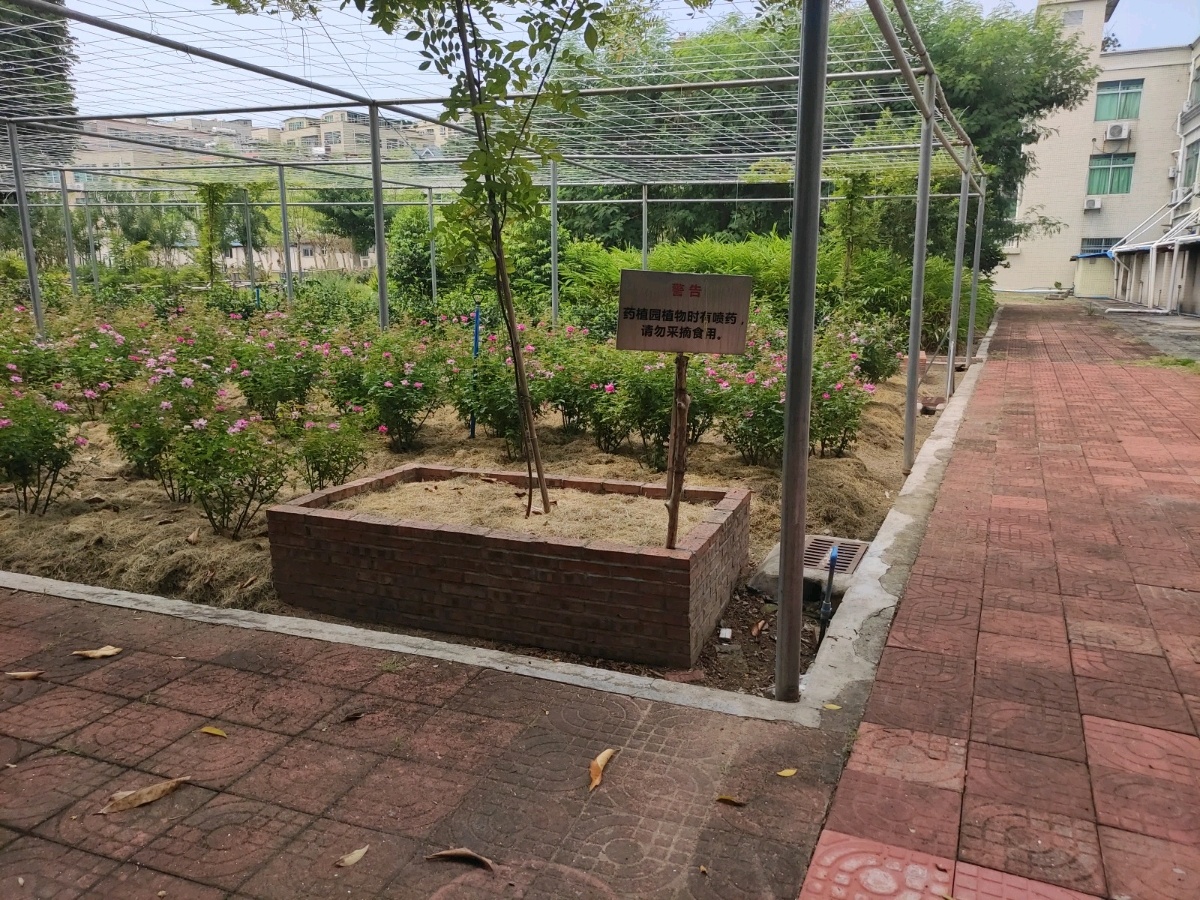 广州新华学院-药植园