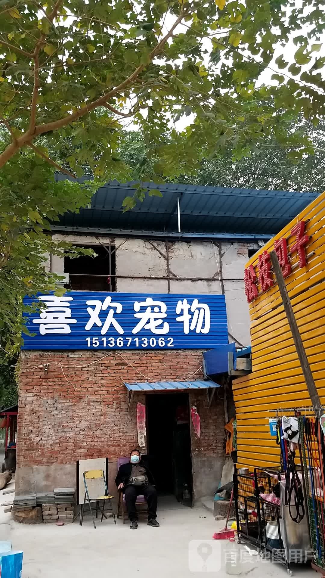 喜欢宠物