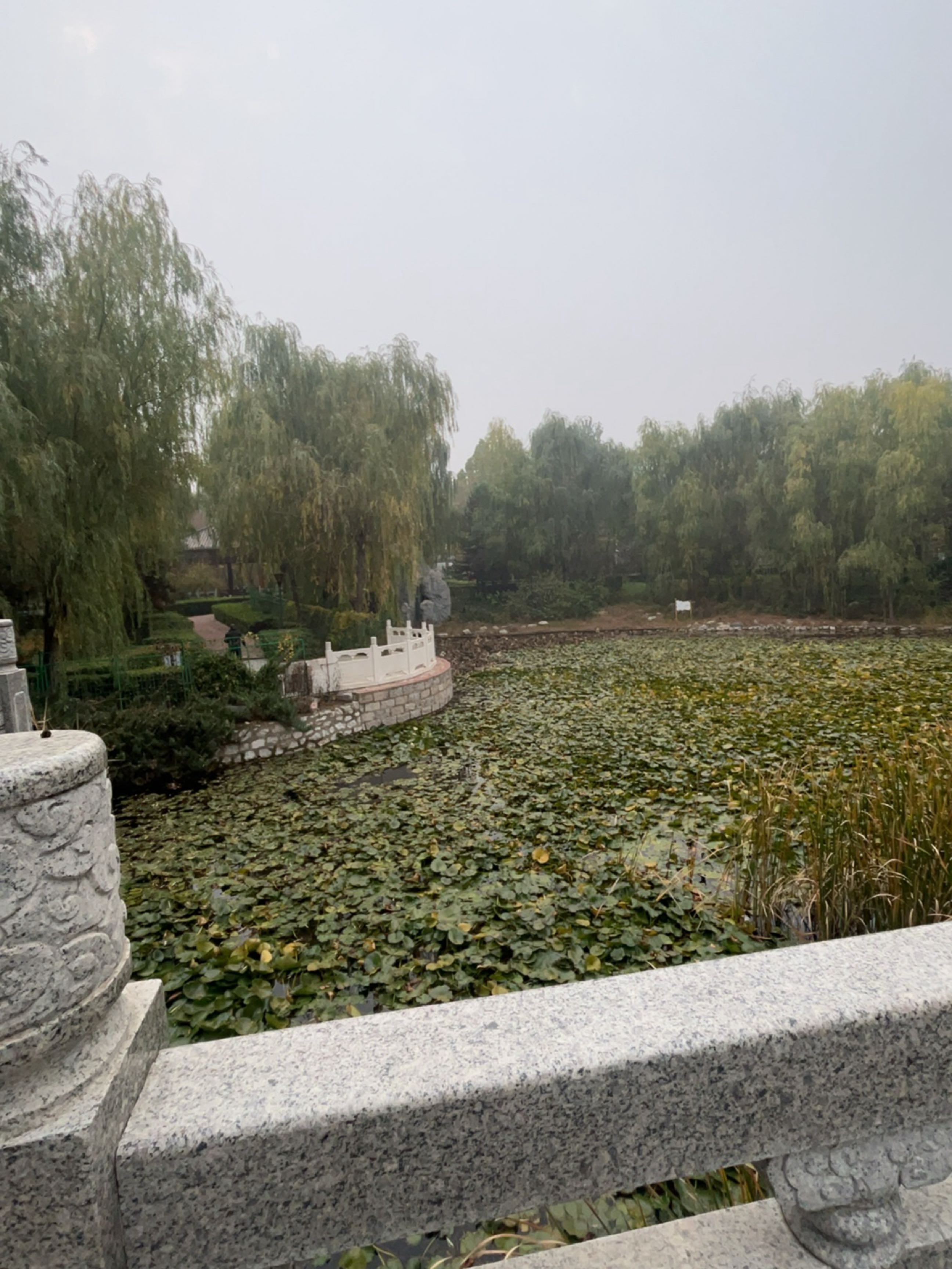 雅集公园-人工湖