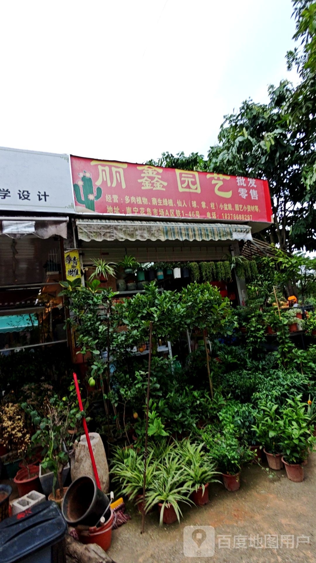 丽鑫园艺(南宁花鸟市场店)