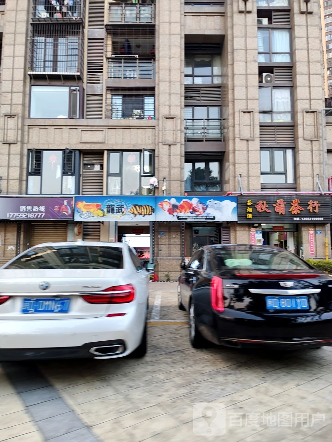 龙武水族(禹洲中央海岸2期店)