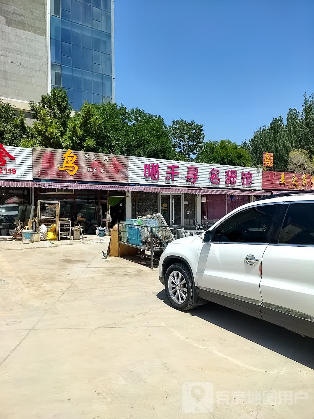 喵千寻名猫馆(塞上花都花鸟鱼宠市场店)