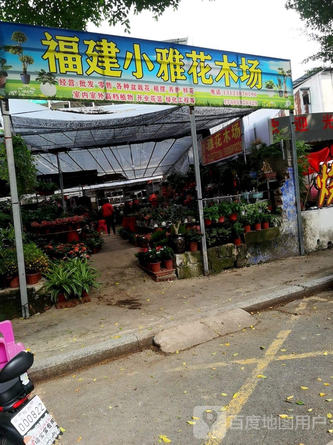 福建毒小雅花木场