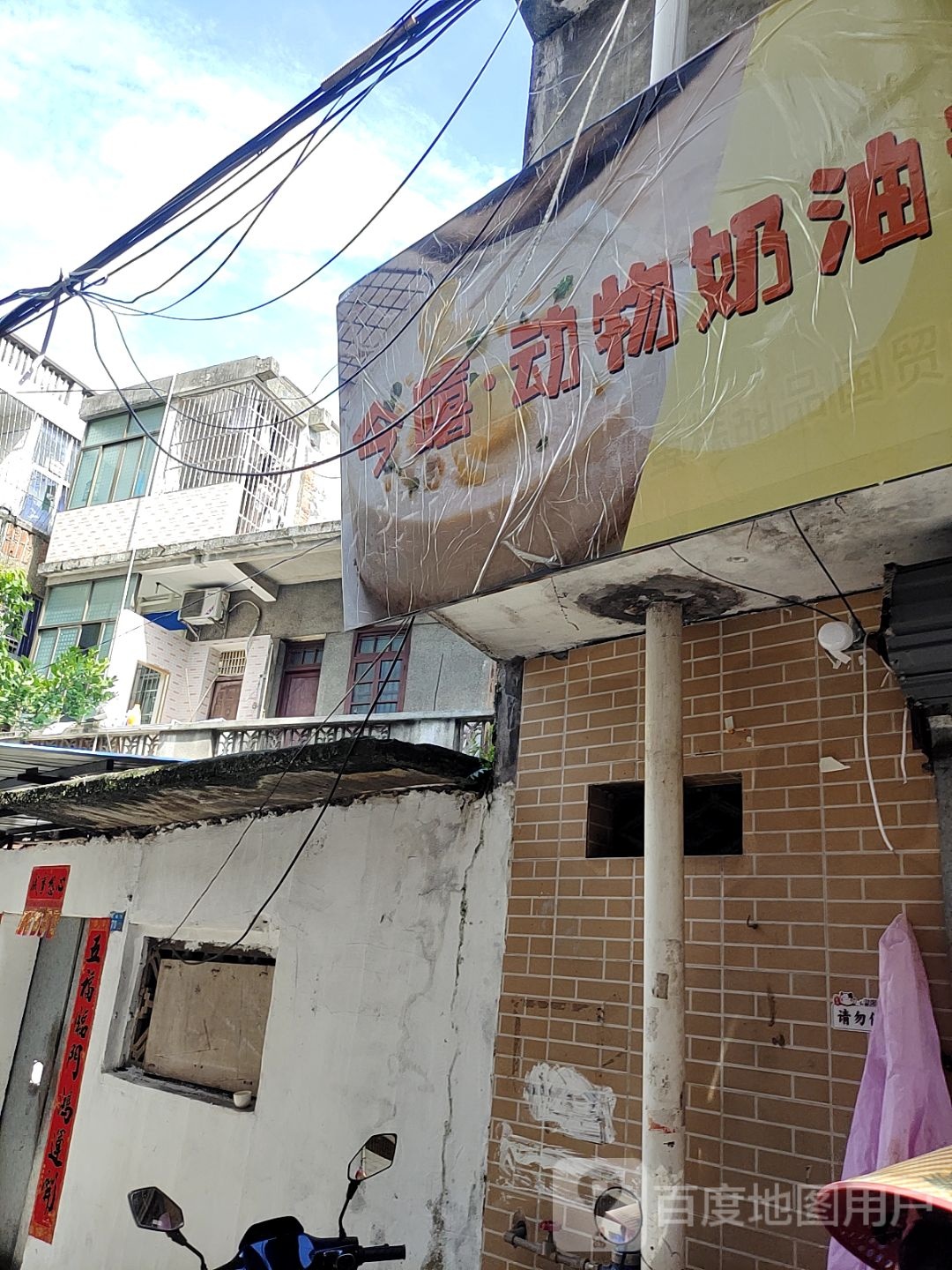 今嘻·动物奶油甜品(国贸店)