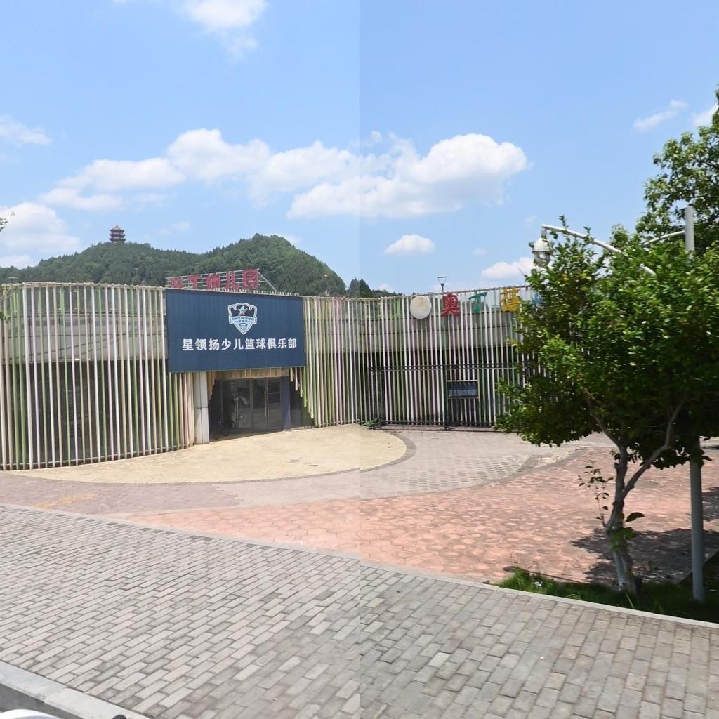 星领扬少儿篮球俱乐部(苍溪店)