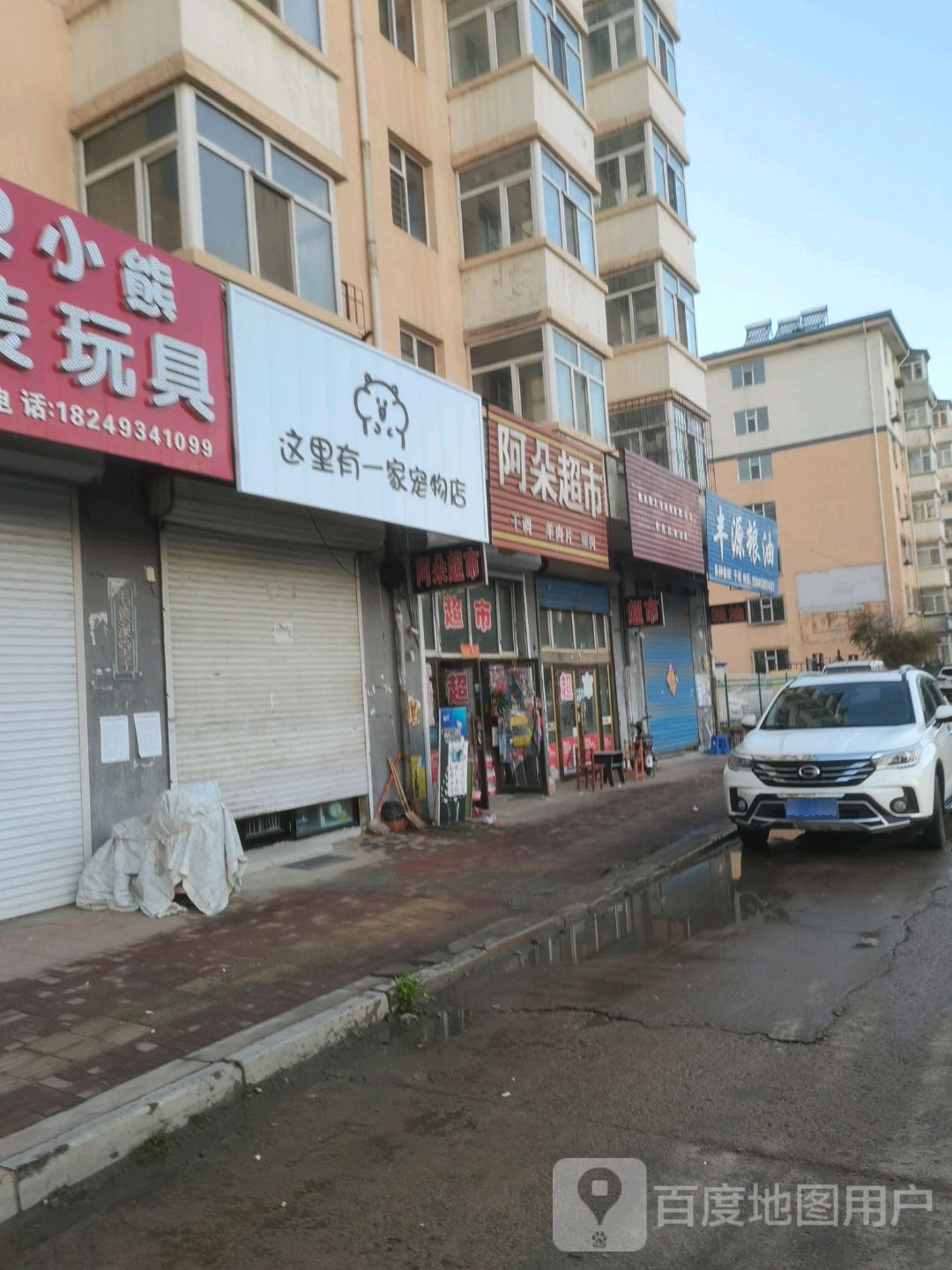 这里有一家宠物店