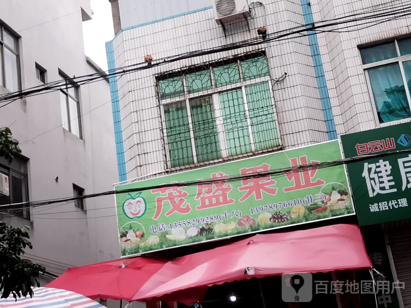 茂盛果业