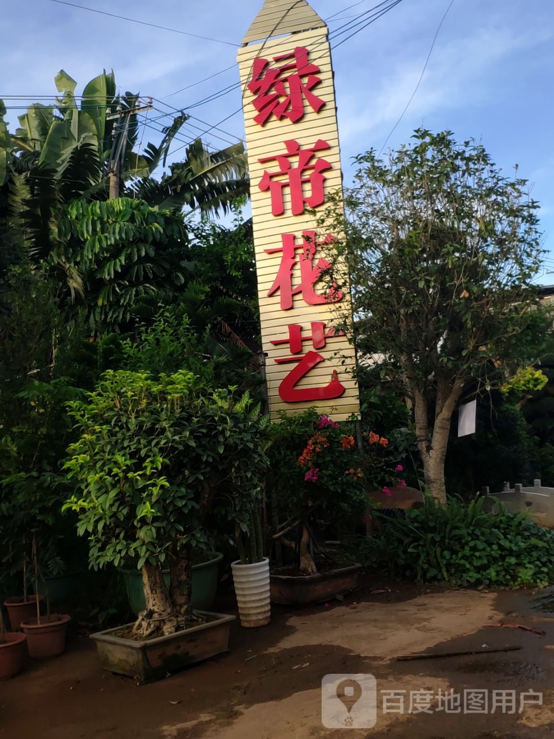 绿帝花艺