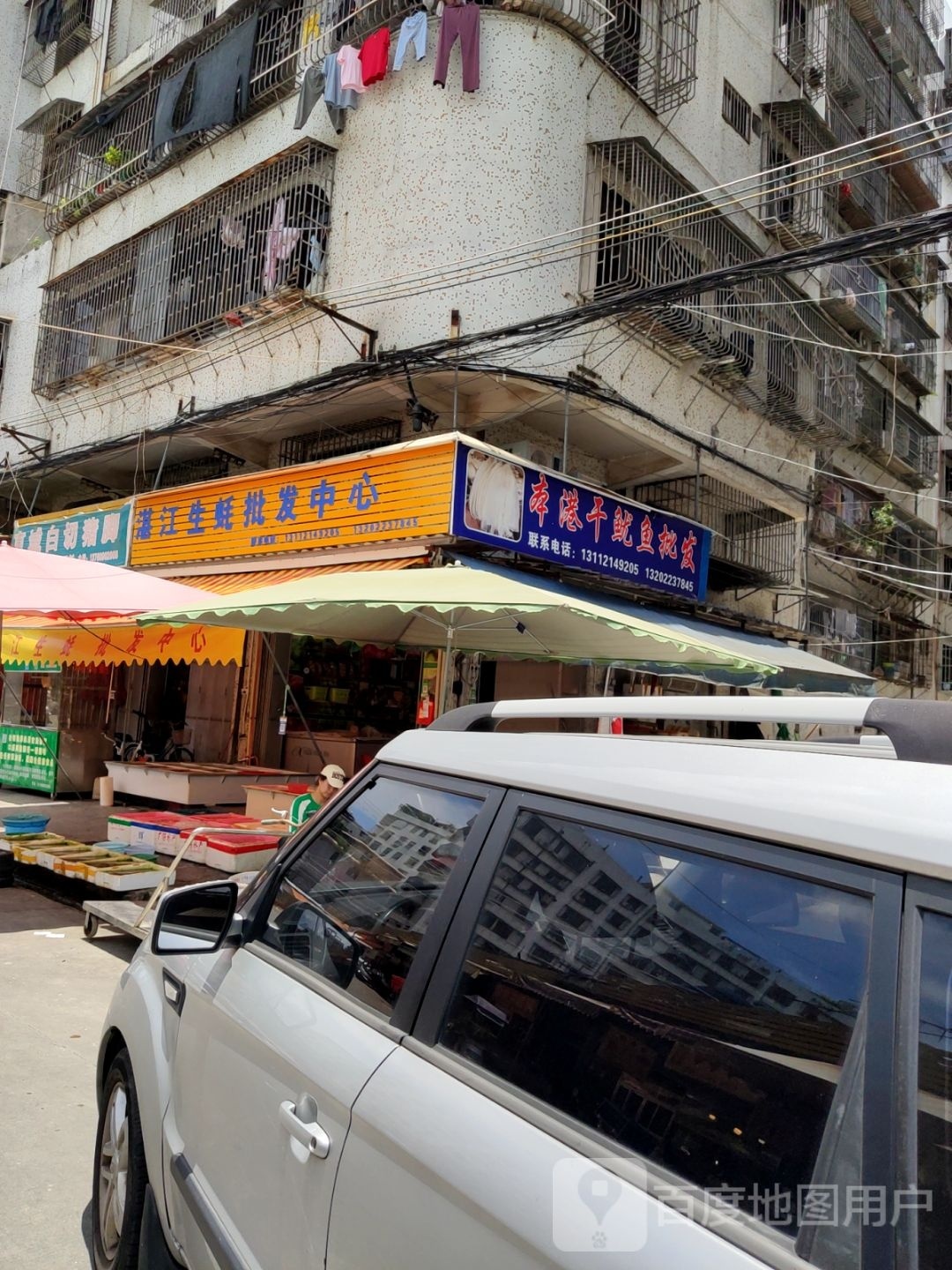 本港干鱿鱼批发