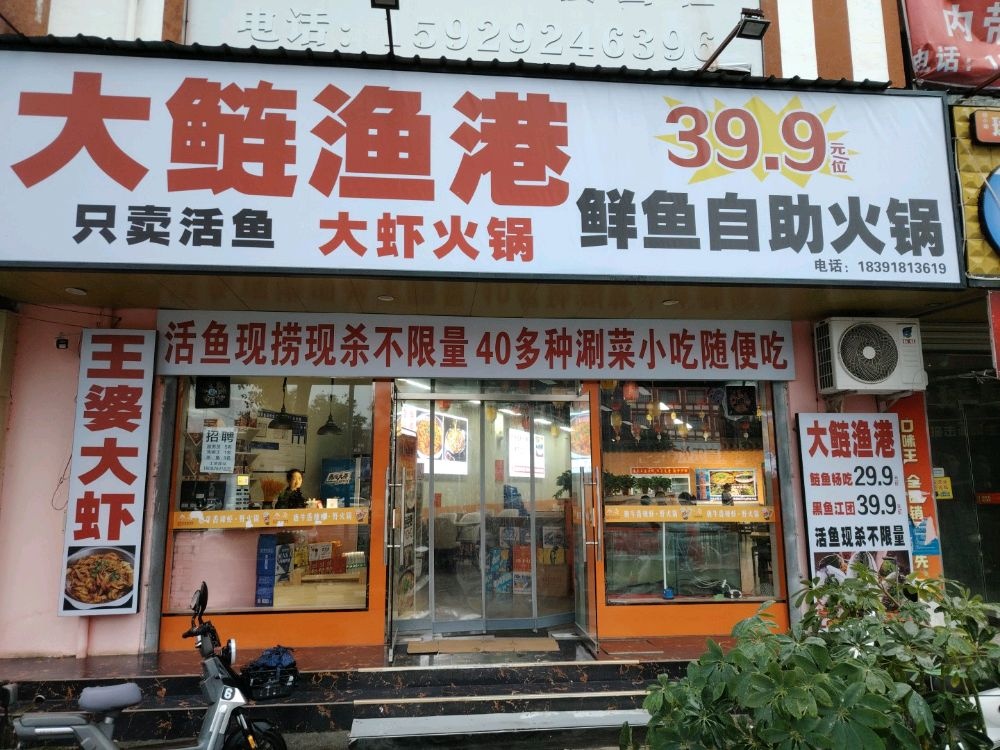 唐牛大鲢渔港鲜鱼自助火锅