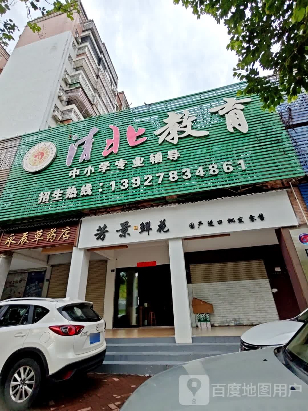 芳景鲜花