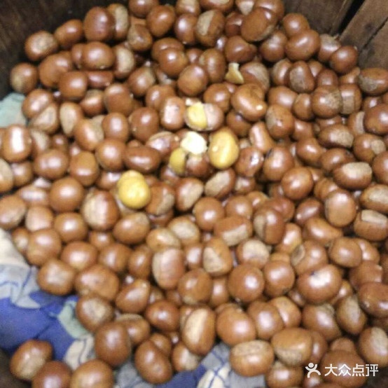 金地栗(慈善广场店)