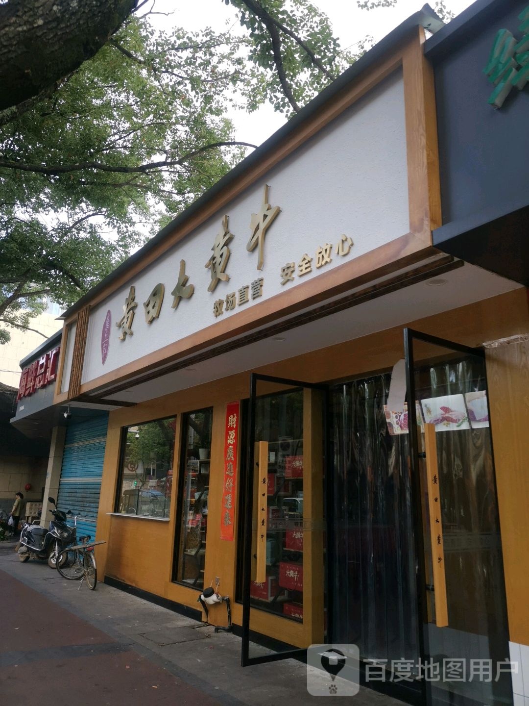 崔上红黄田大莫牛