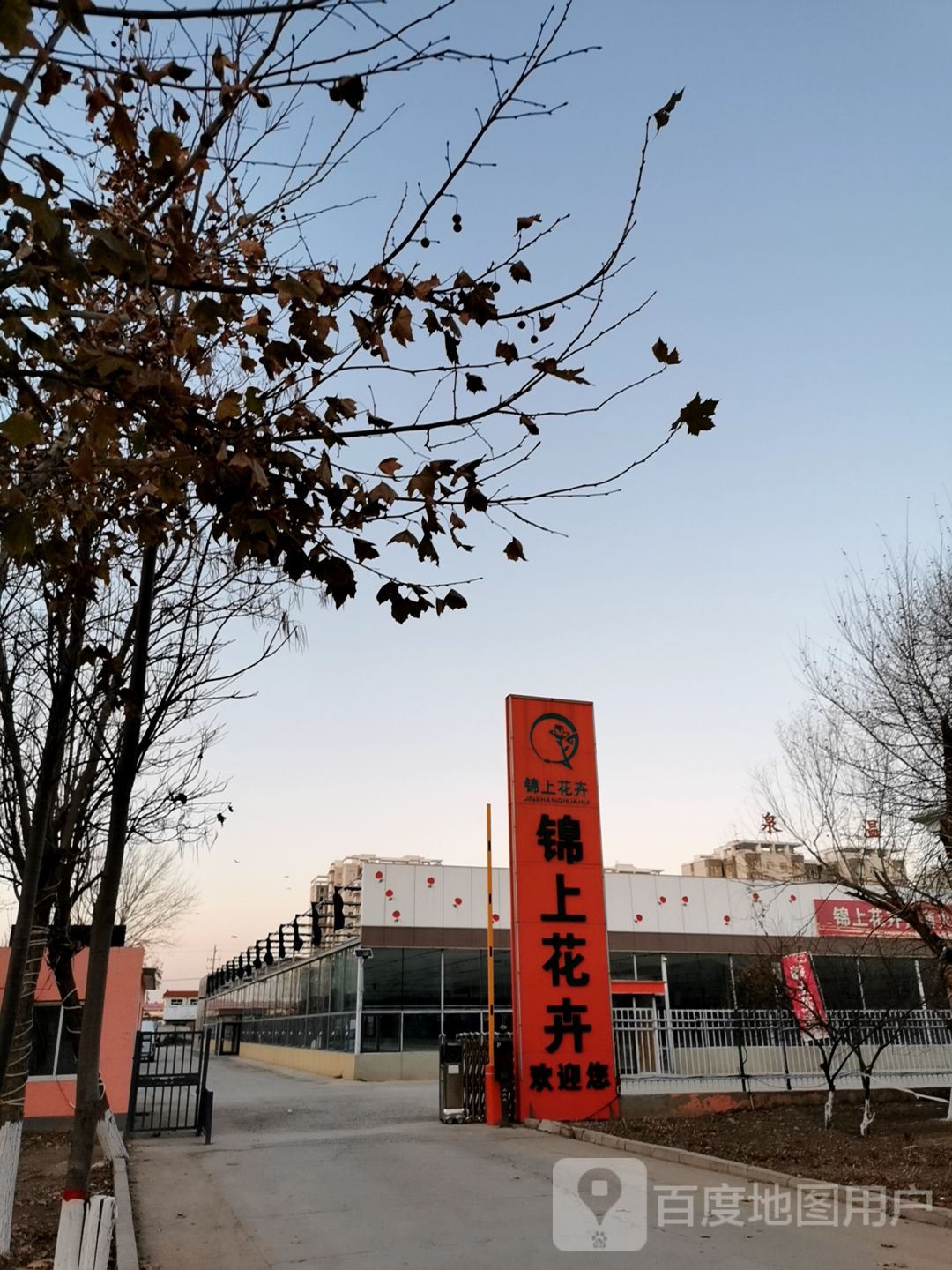 锦上花卉