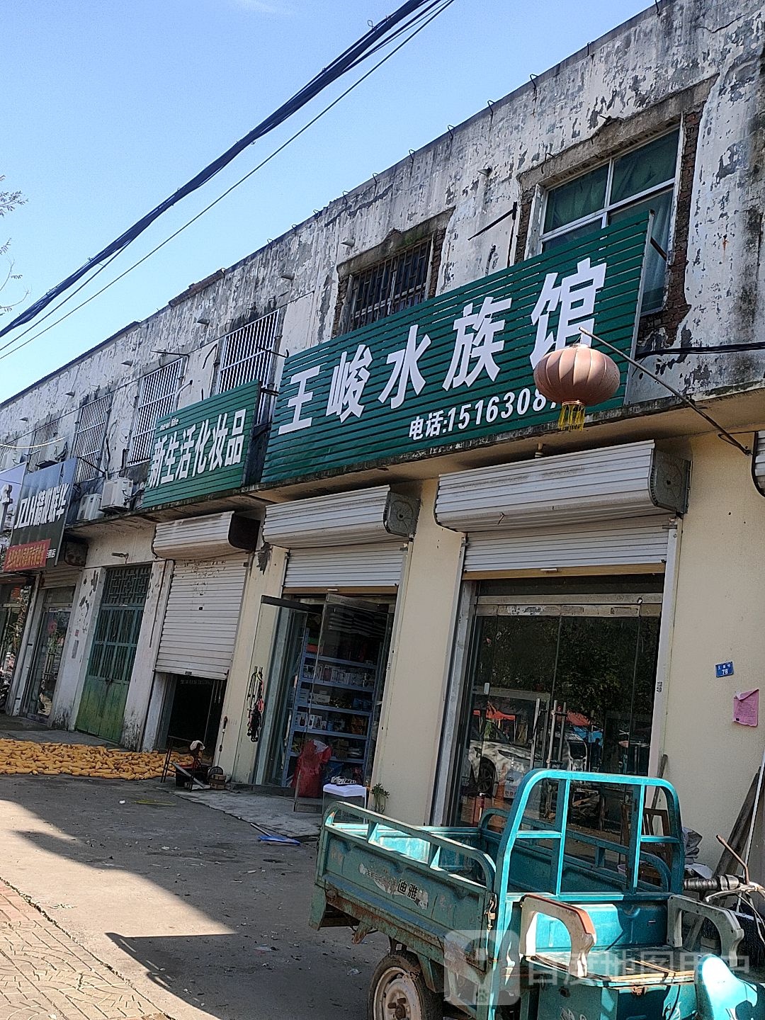 王峻水族馆