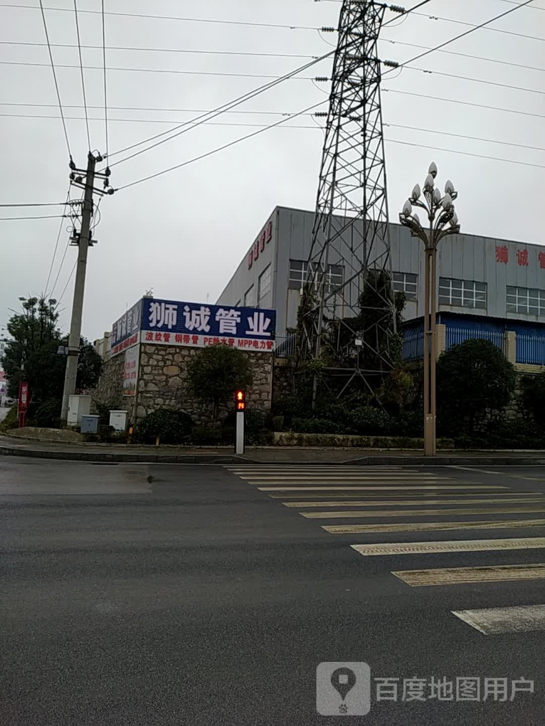 狮诚管叶
