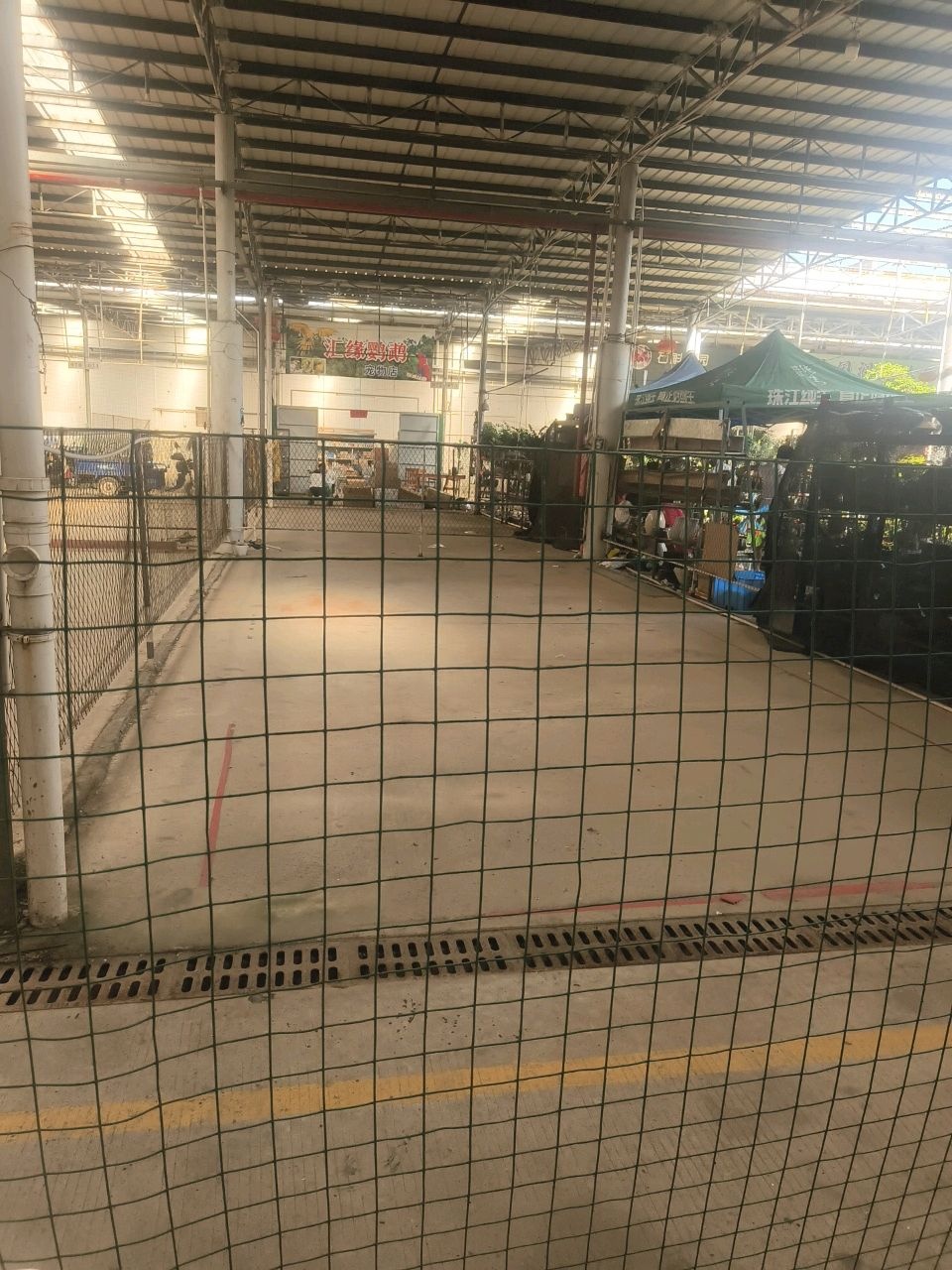 汇缘鹦鹉宠物店