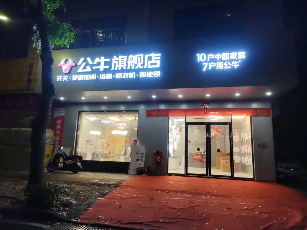 夜明珠灯饰店(公牛旗舰店)