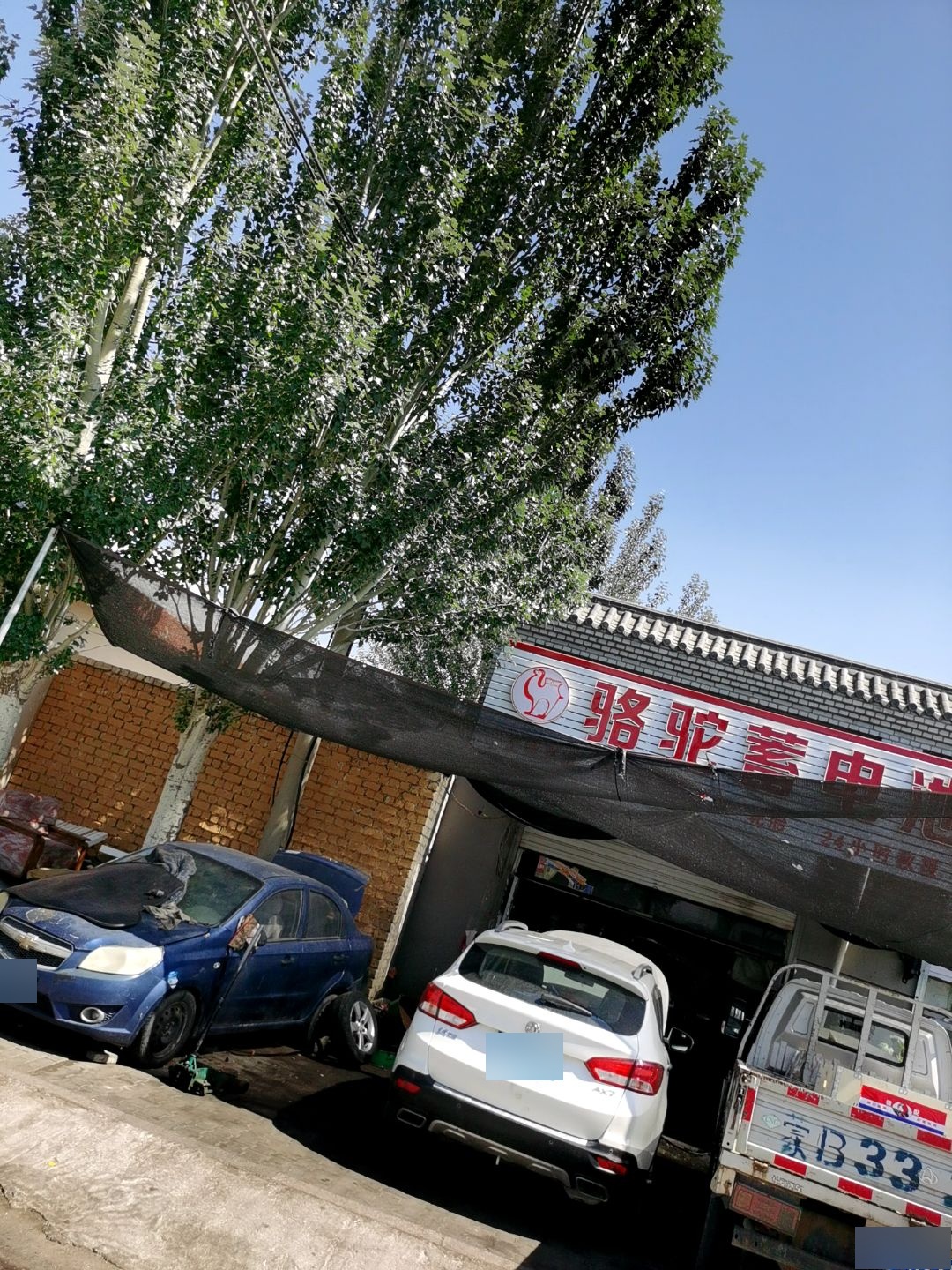 骆驼蓄电池