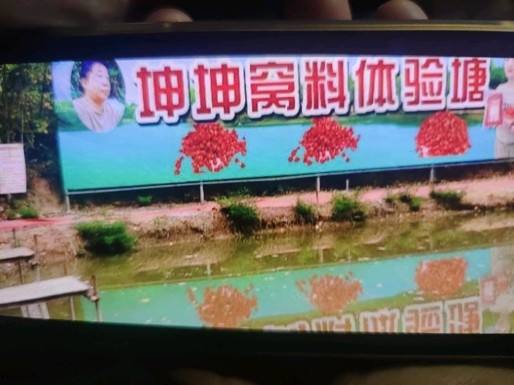 坤坤窝料免费体验塘