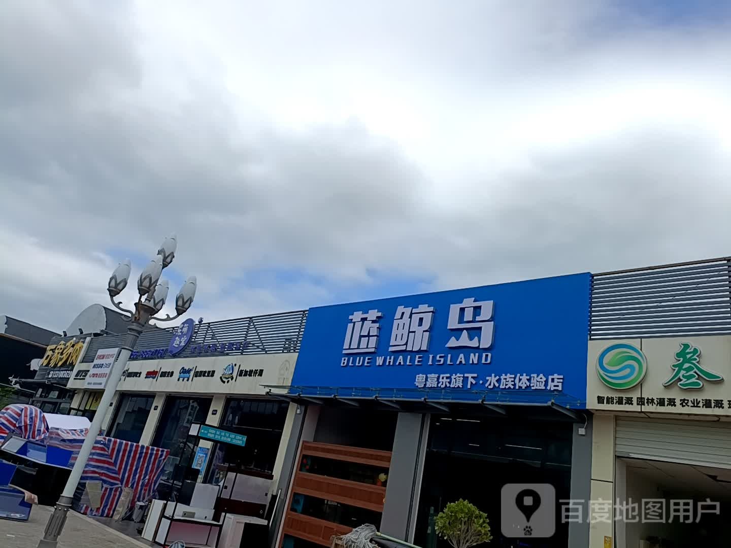 蓝鲸岛水族(宏源发花卉苗木产业园店)