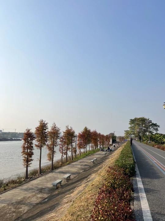 江门人才岛示范段公园