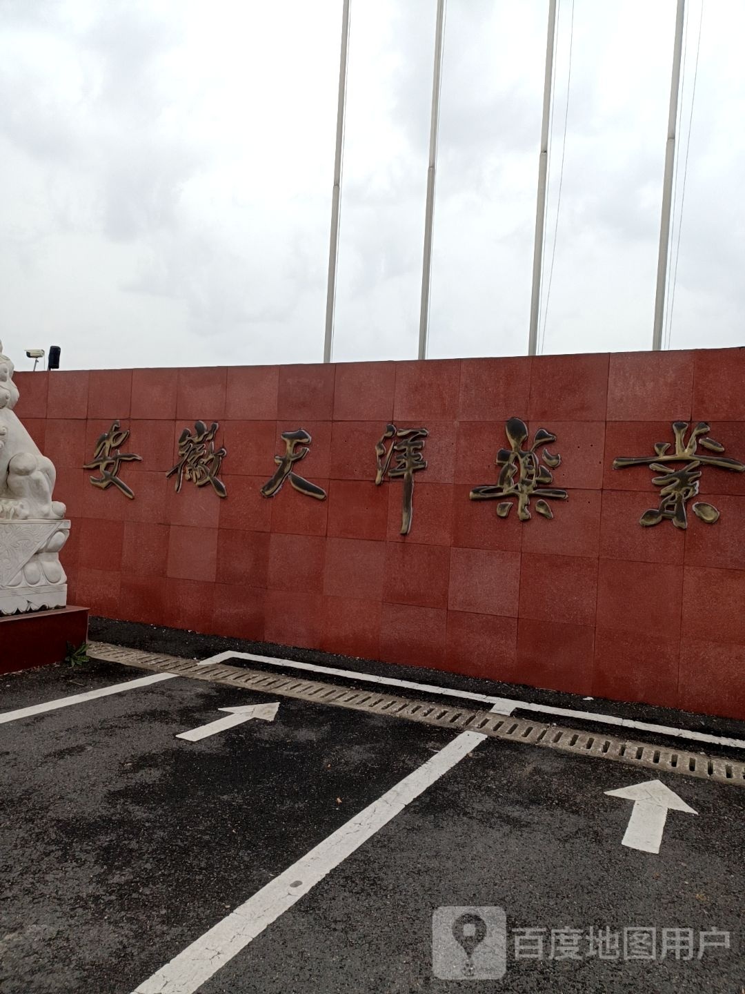 安庆天洋药业