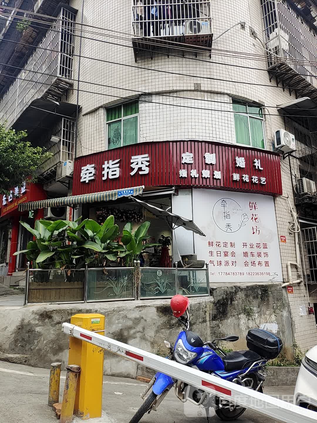 草指秀