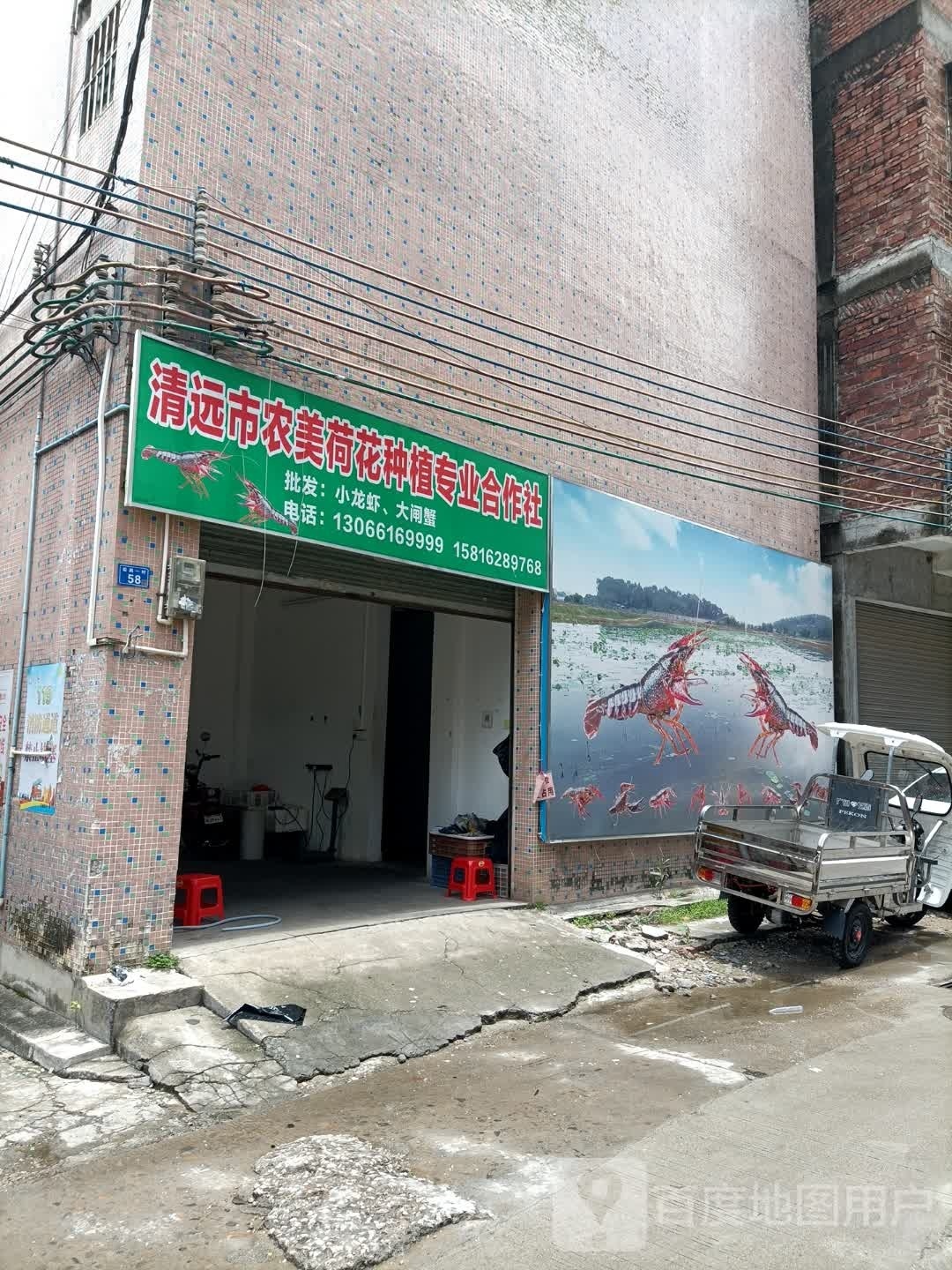 清远市农美荷花种植专业合作社(后岗店)