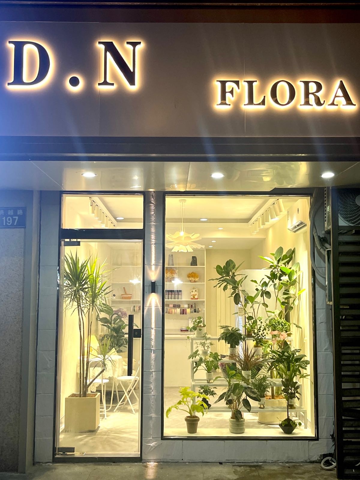 D.N FLORA