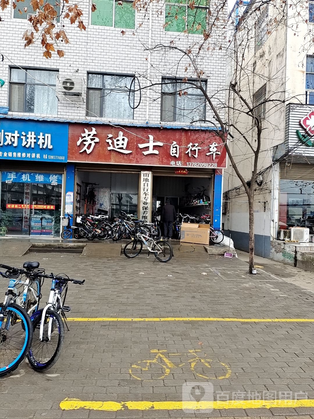 邓州市劳迪士自行车(文化路店)