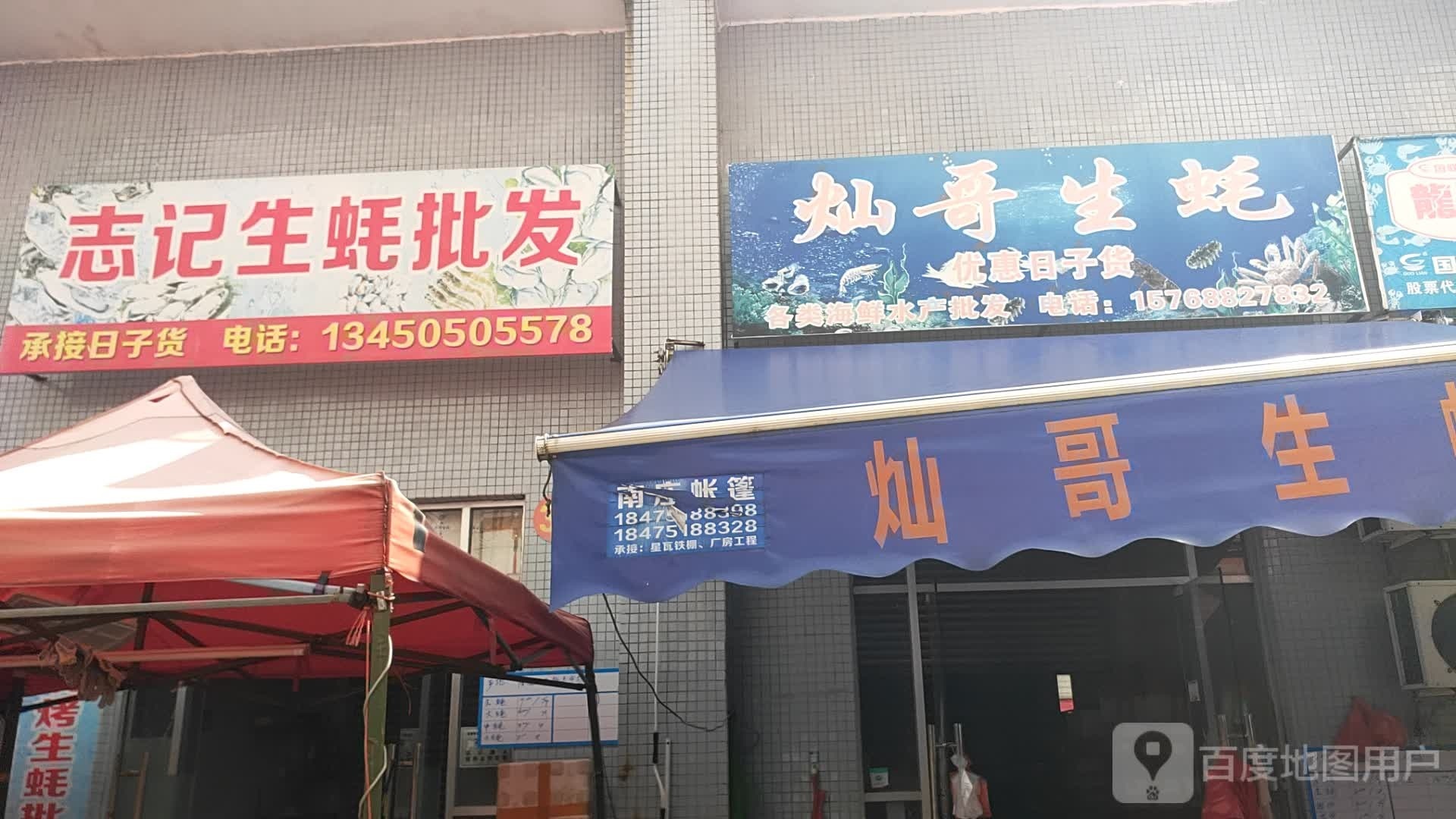 志记生蚝批发