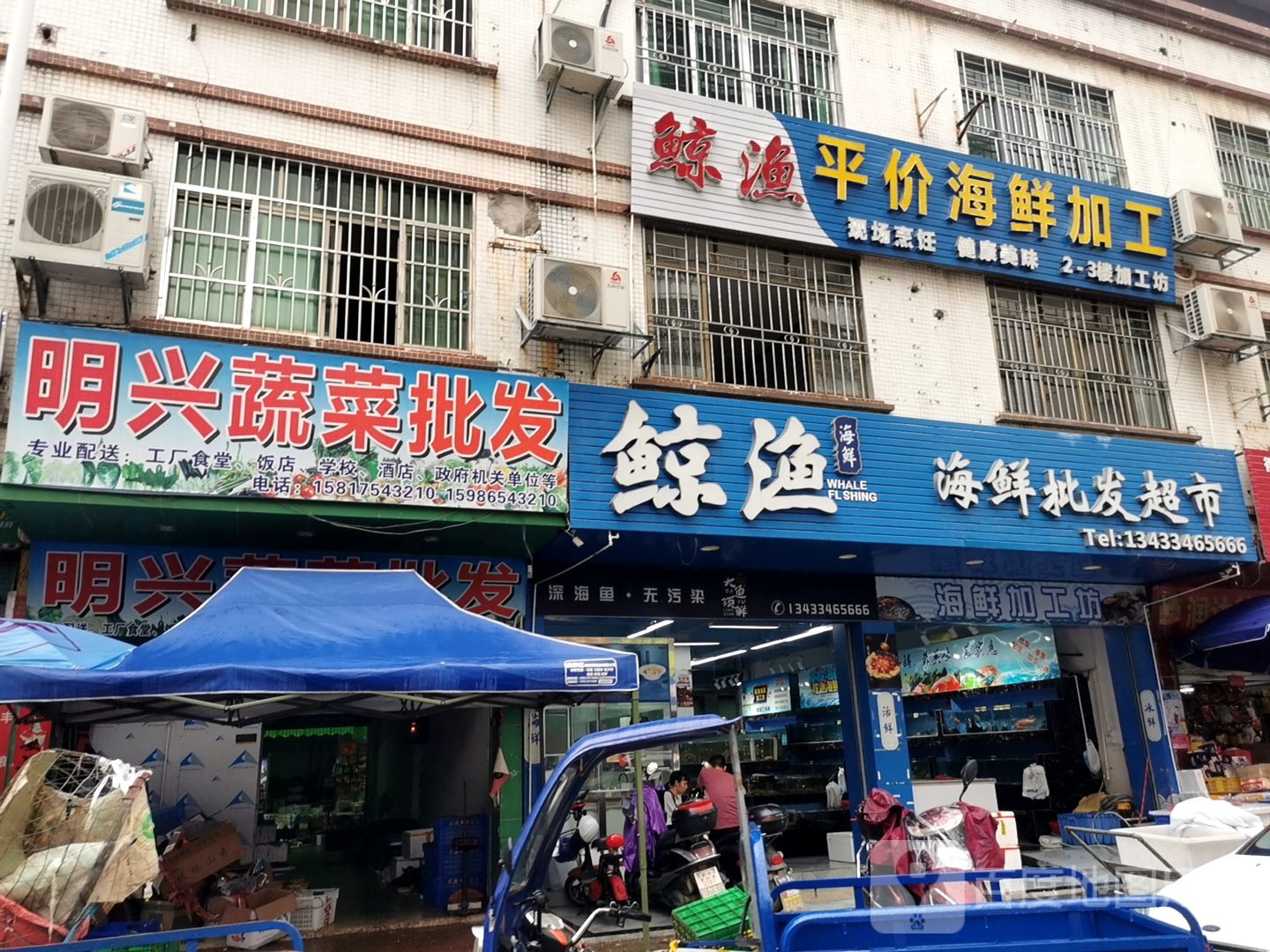 鲸渔海鲜(博罗县新世纪市场店)