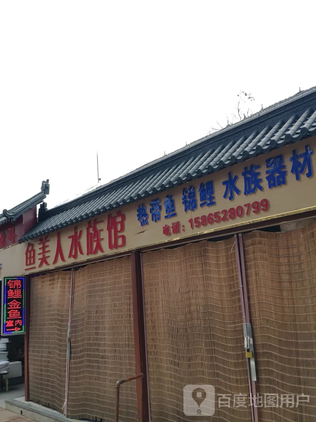 鱼美人水族馆