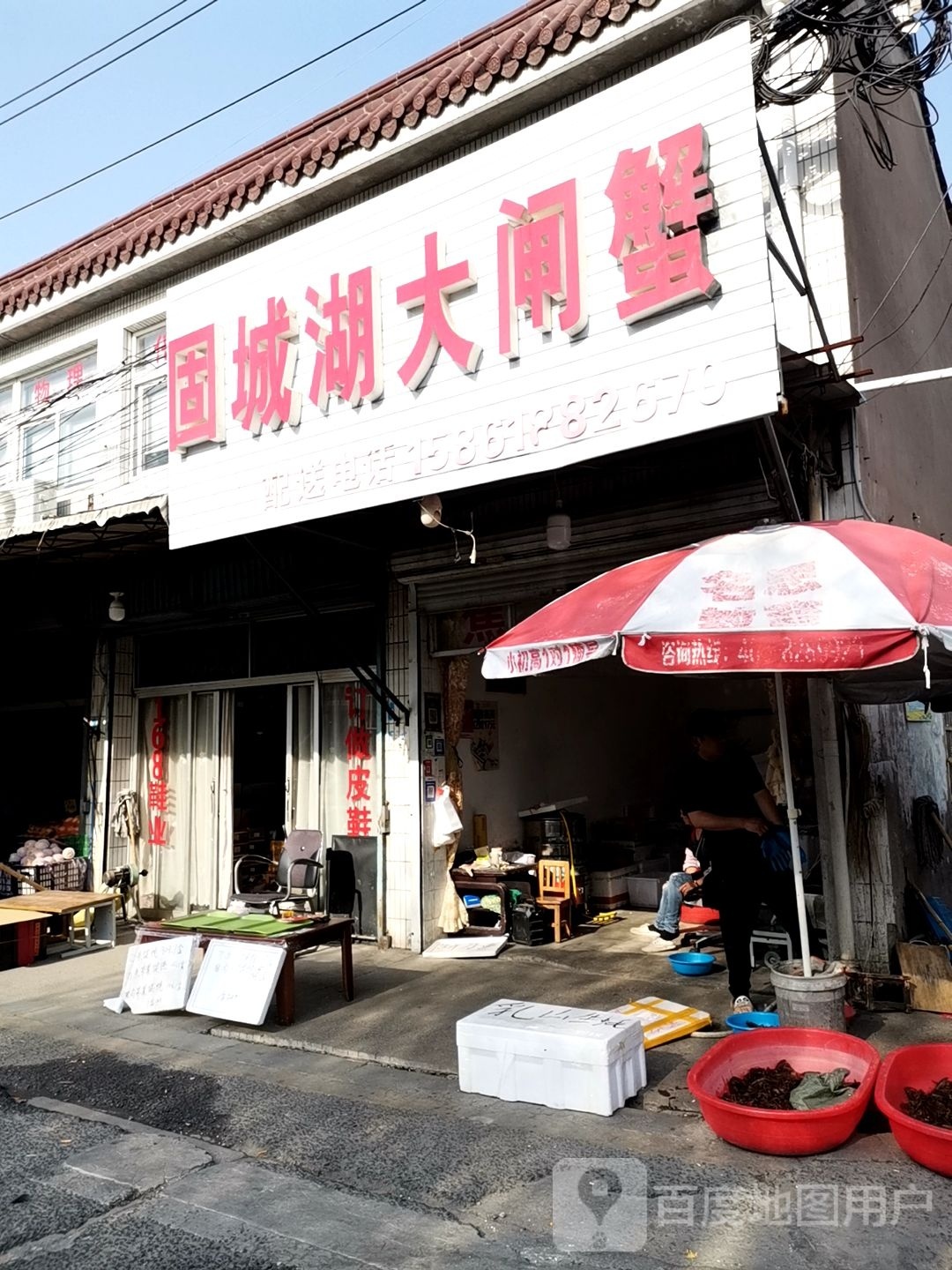固城湖大宅蟹