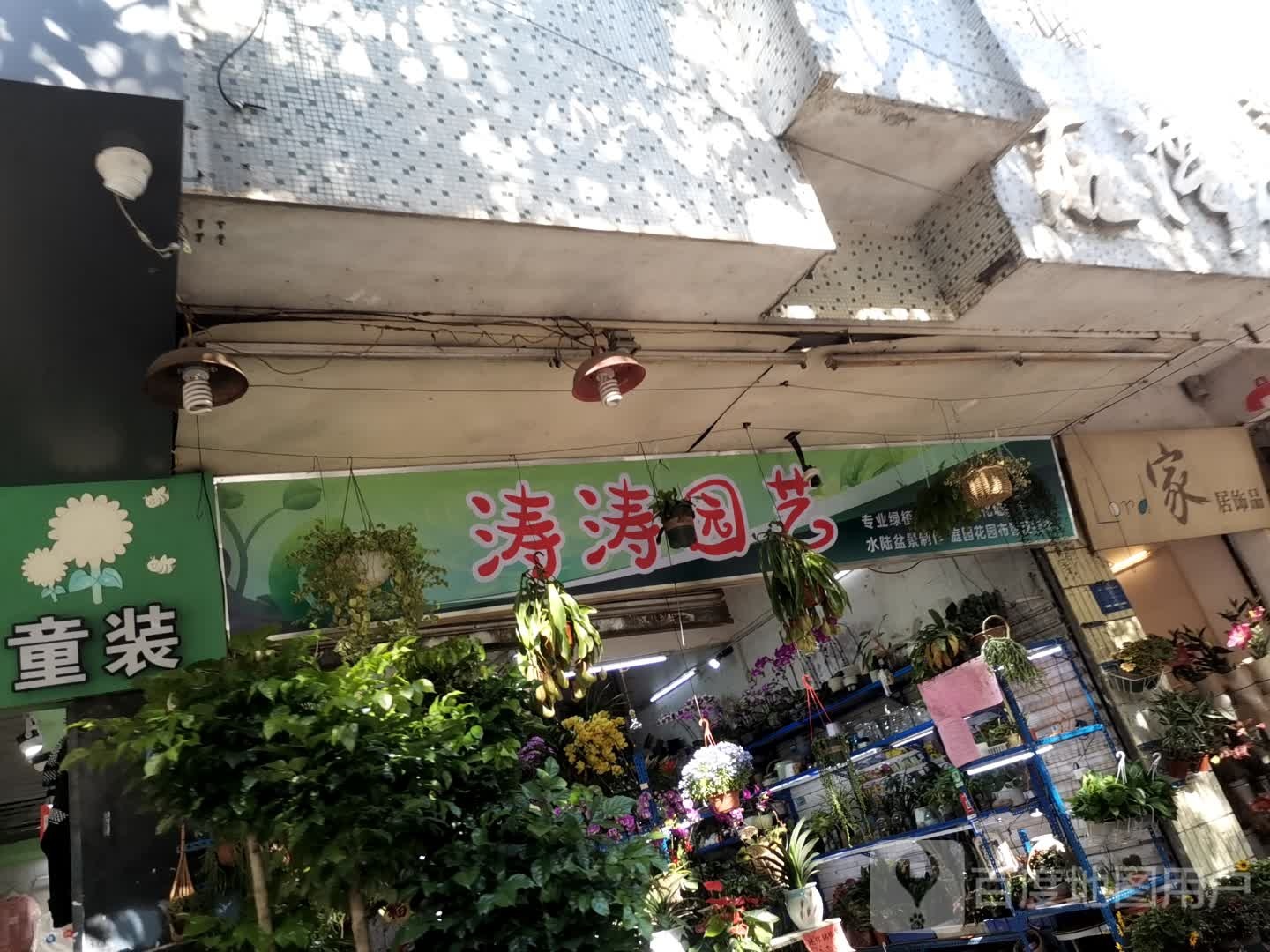 涛涛园艺