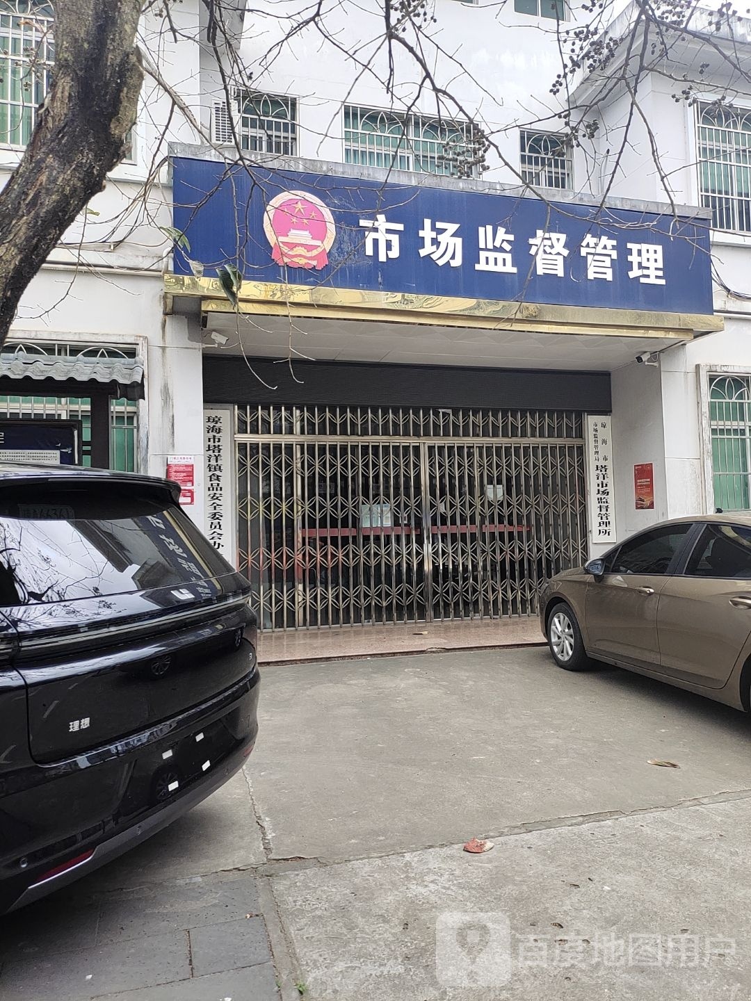 中共琼海市塔洋镇委员会