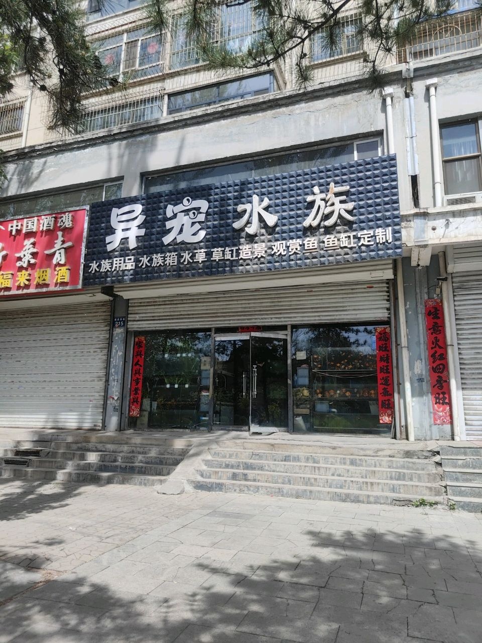 鑫隆水族(科苑店)