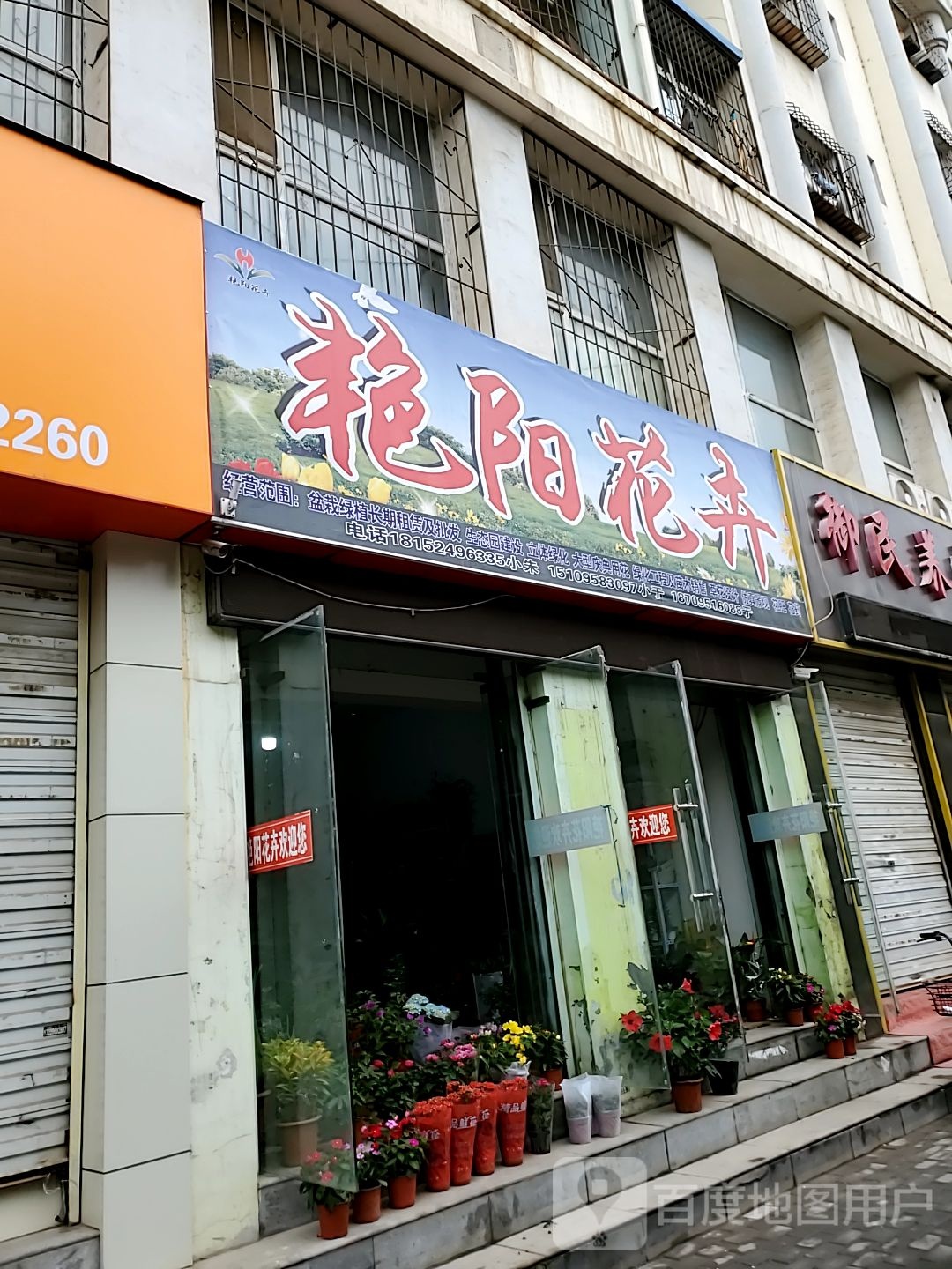 艳阳花卉