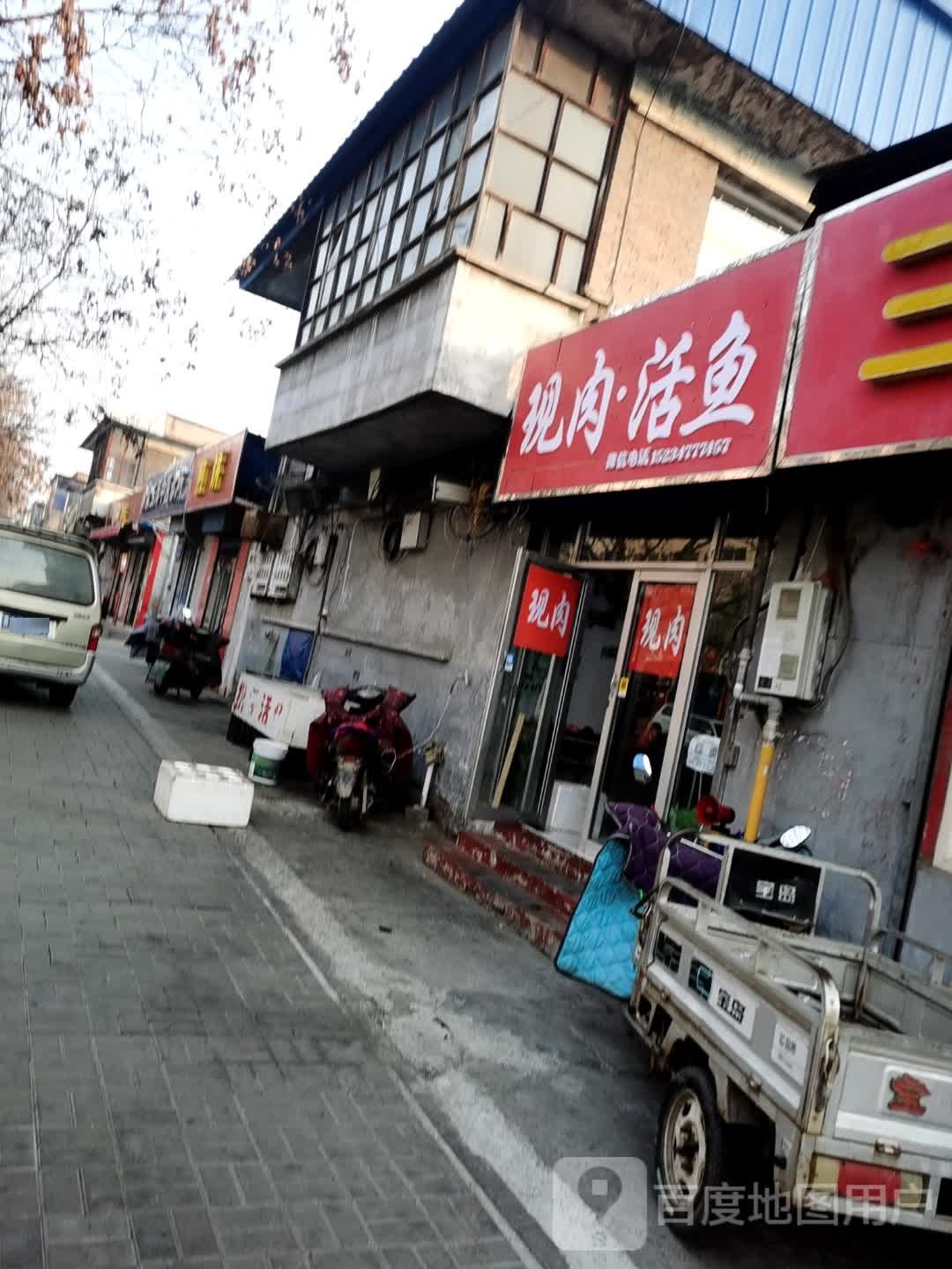 现肉·活鱼