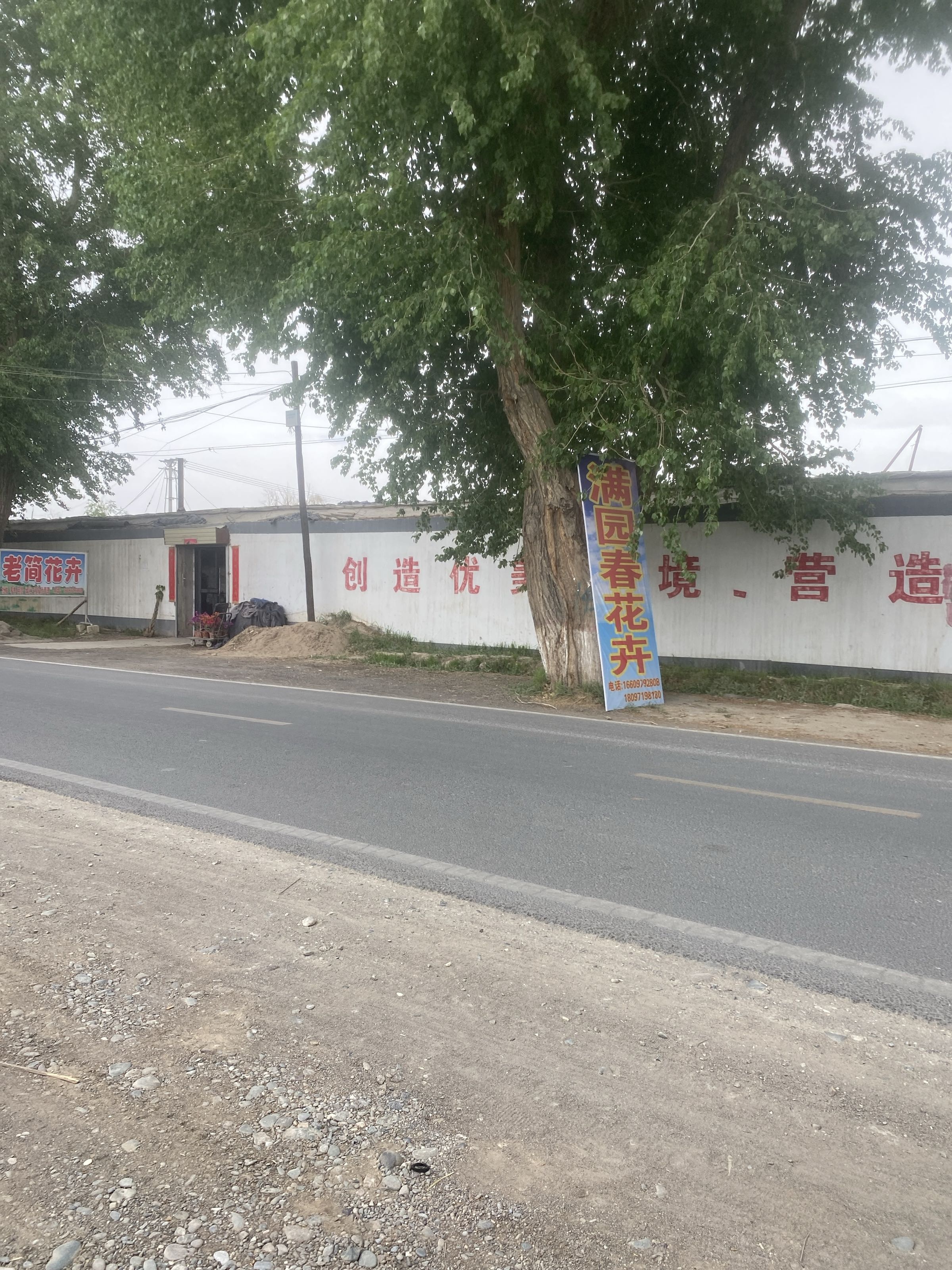 老简花卉
