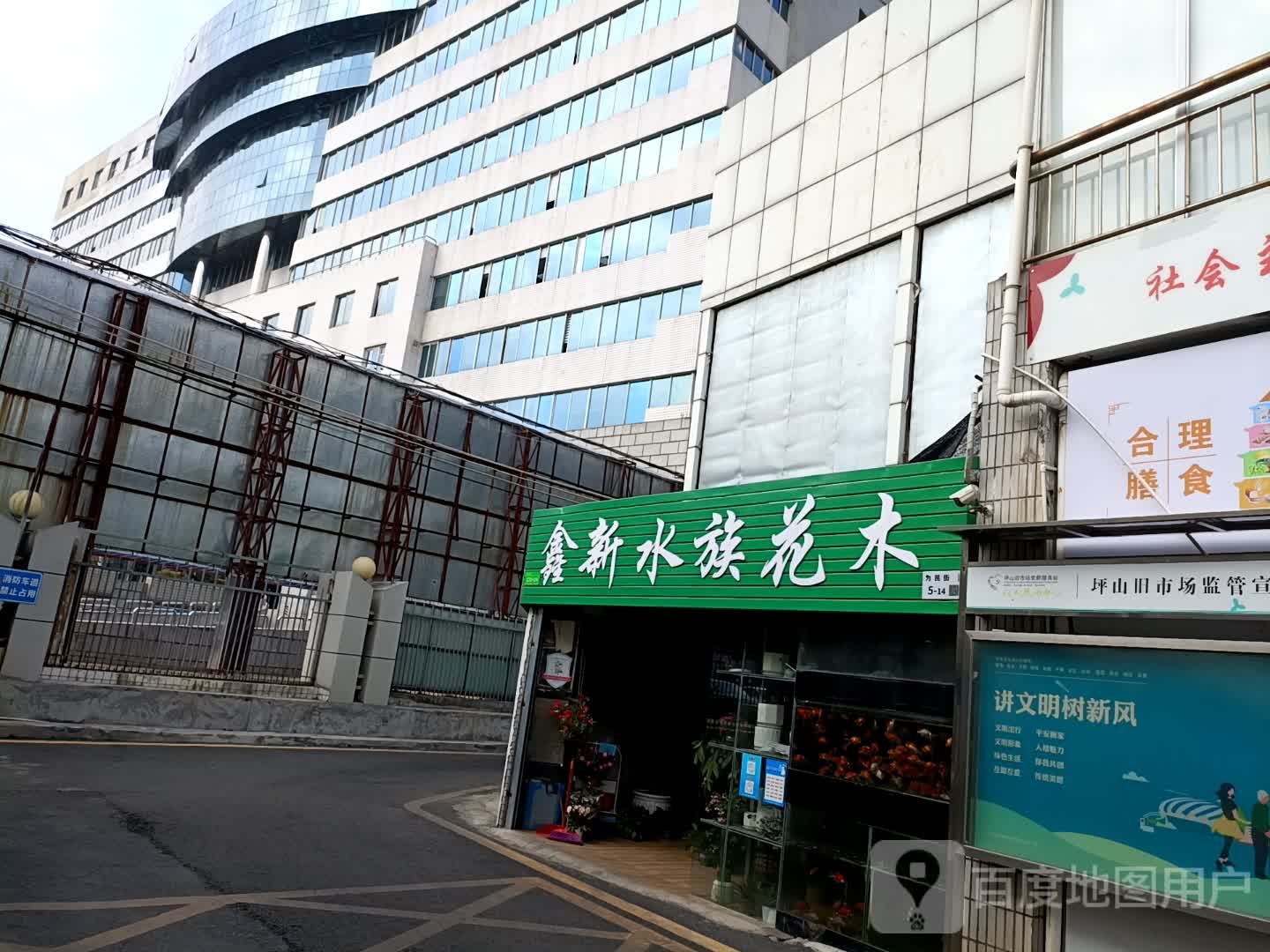鑫新水族花木(坪山街市场店)