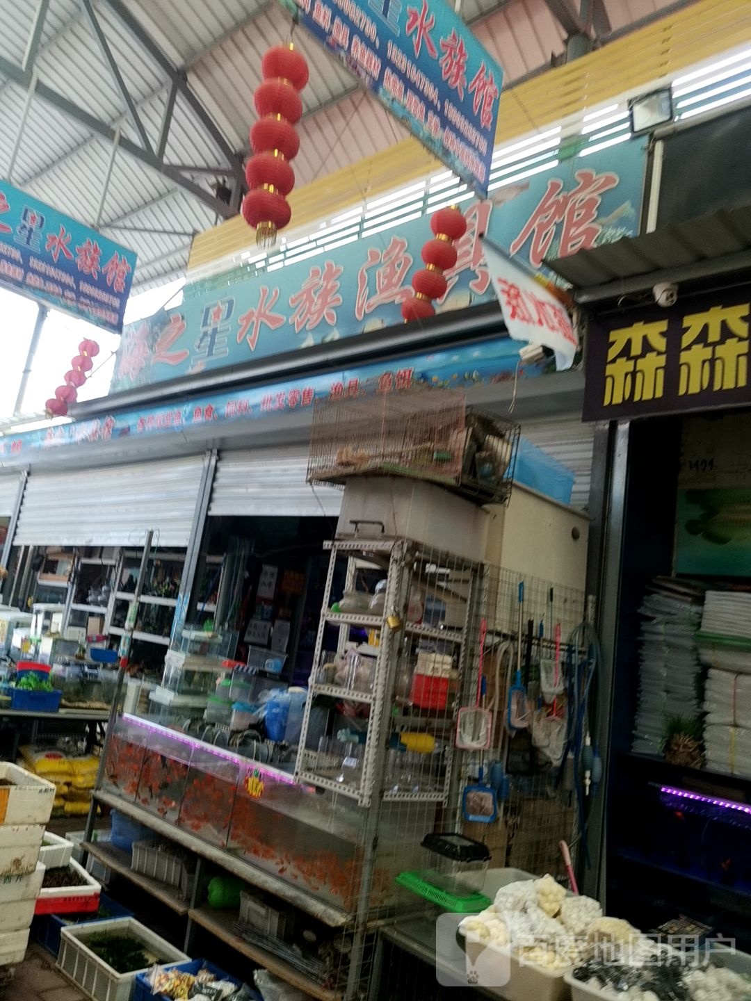 海之星水族渔具馆(方舟综合市场燕灵路店)