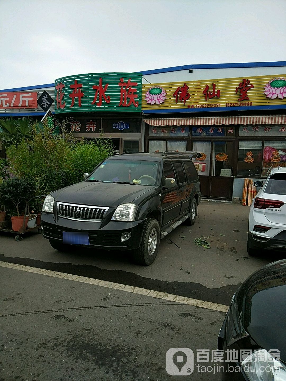 花鸟水族(大连金发地批发大市场店)