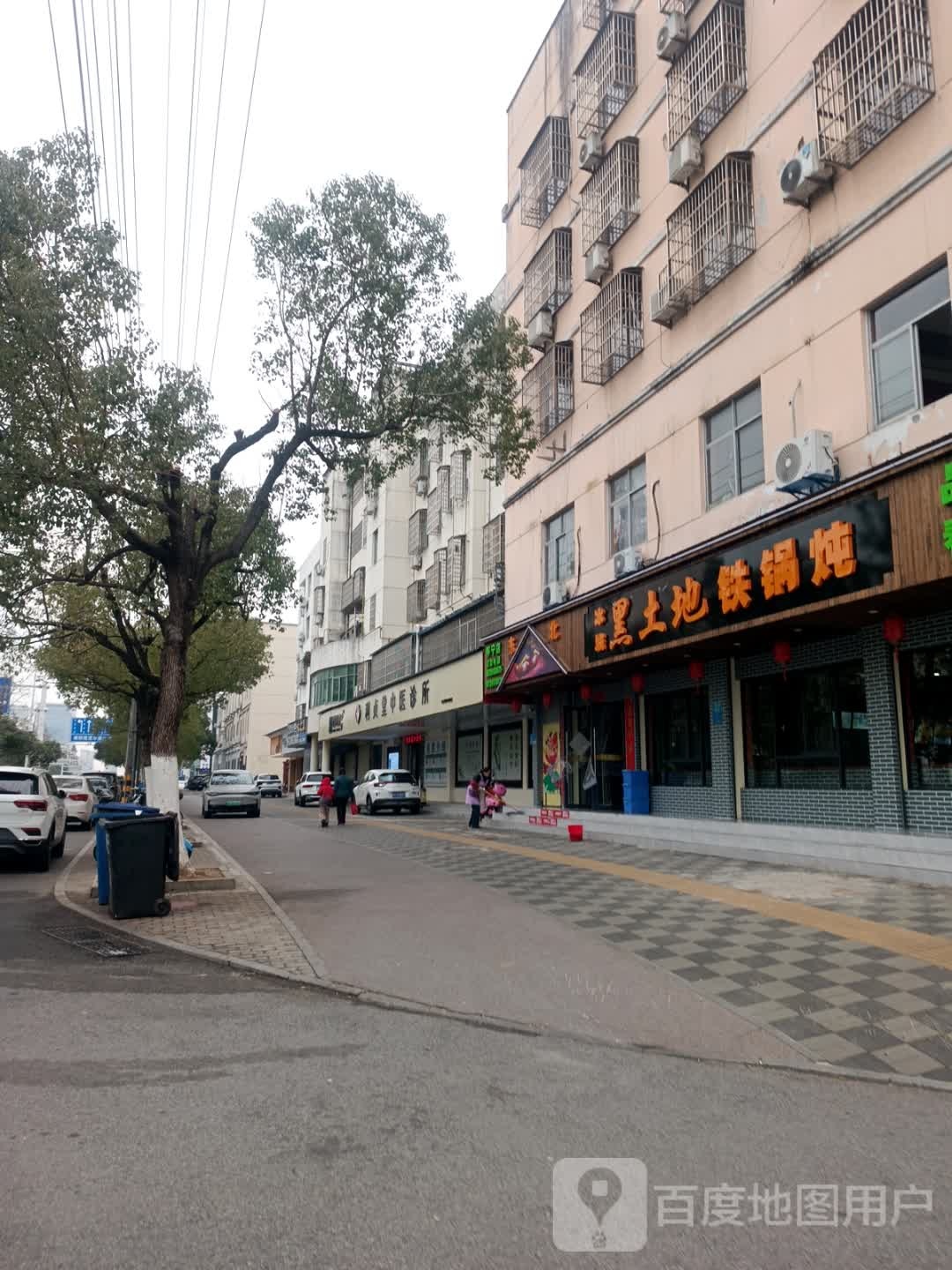 冰城黑土地铁锅炖(育儿路店)