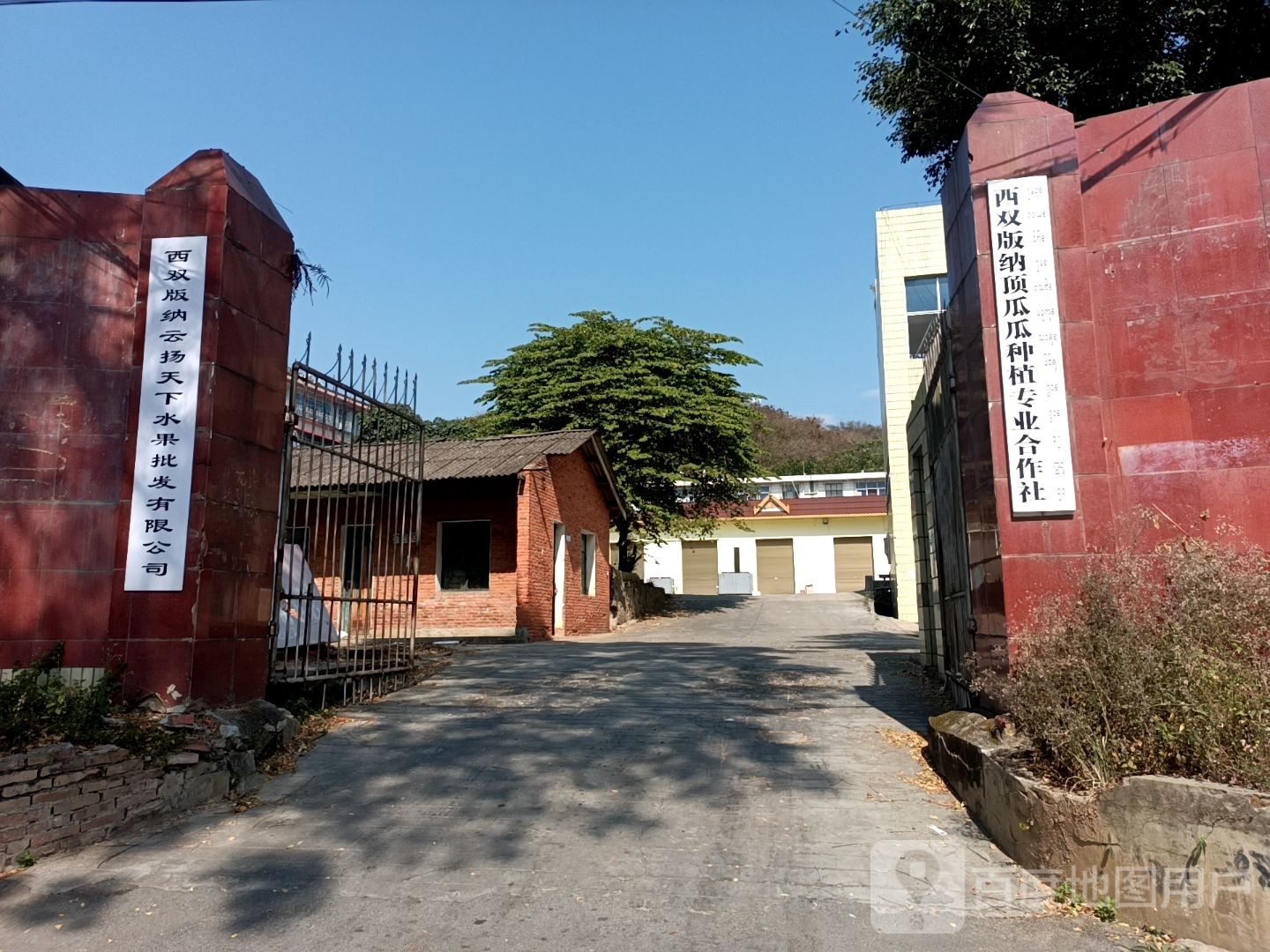 西双版纳云扬天下水果批发有限公可