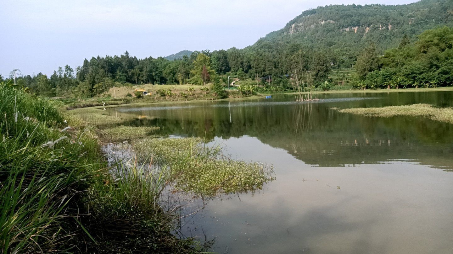 曾口老兵垂钓园