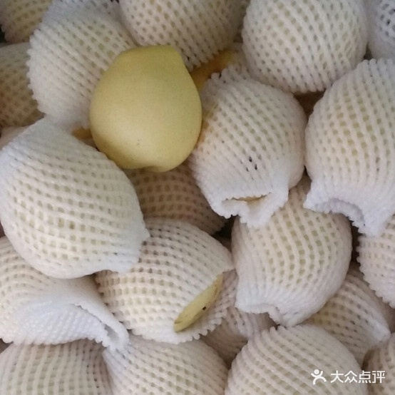 胖子的麻烫(同结路店)