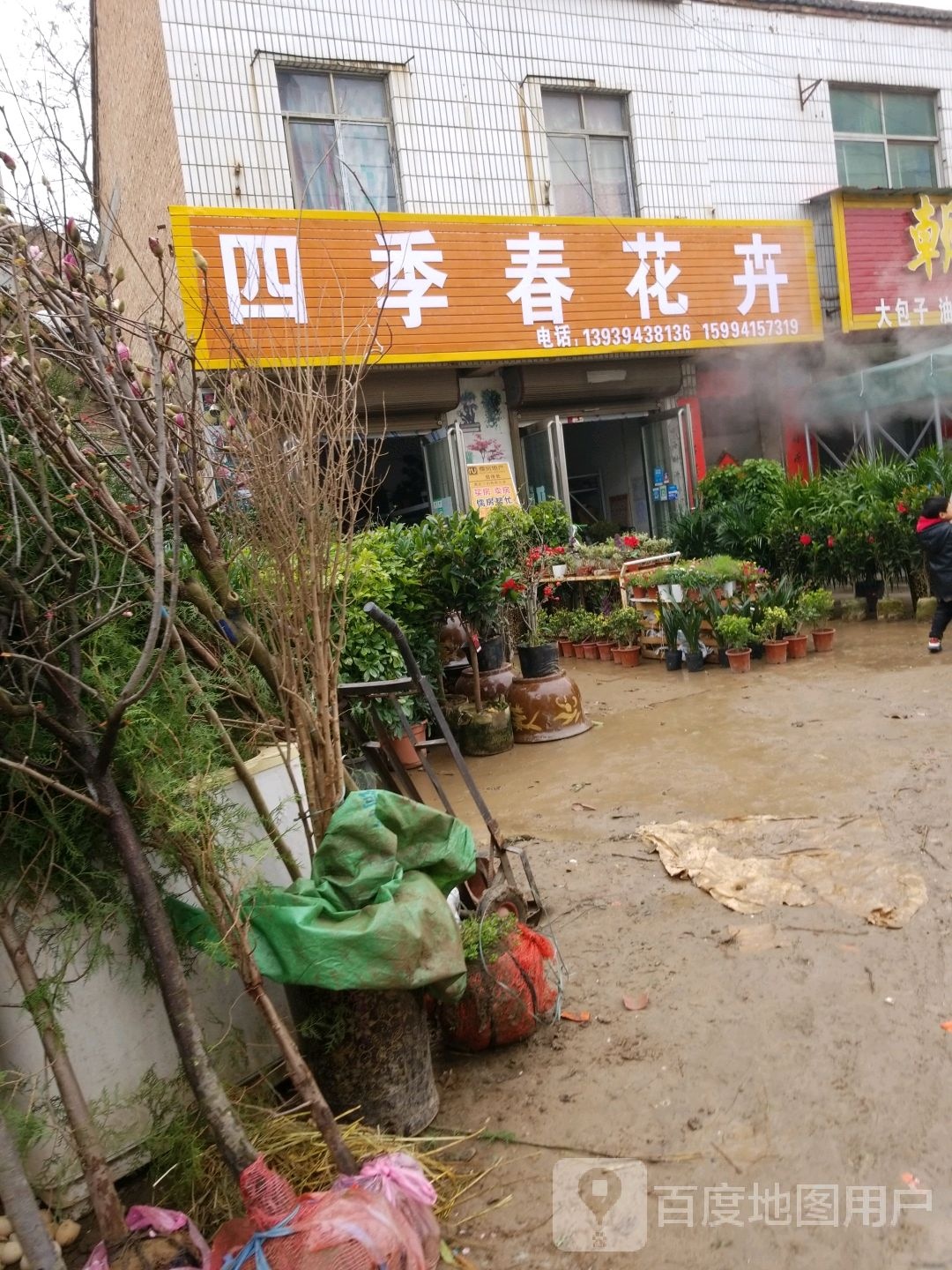 四季春花卉(徐峡线店)